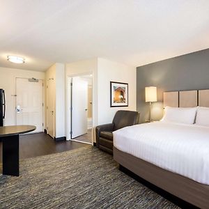 Studio Queen Suite